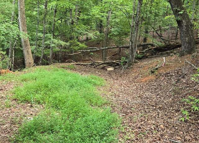 Property at 0 Summer Rest Dr #9, Lake Lure, NC 28746