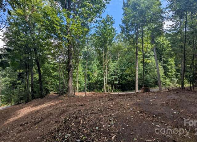 Property at 00 Chestnut Walk Dr #1, Waynesville, NC 28786