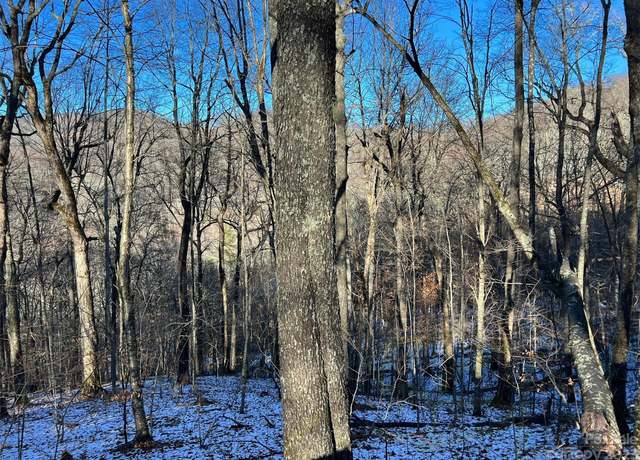 Property at 000 El Miner Dr #551, Mars Hill, NC 28754