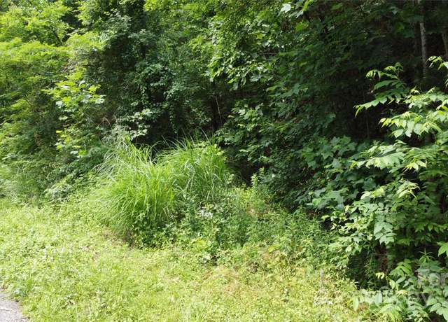 Property at 830 Cove Creek Ln, Weaverville, NC 28787