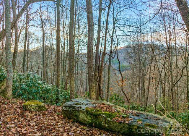 Property at 370 Cabin Creek Trl, Mars Hill, NC 28754