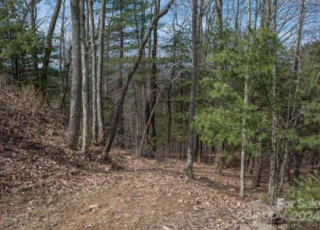 Property at 999 Falconwood Ln #25, Asheville, NC 28804