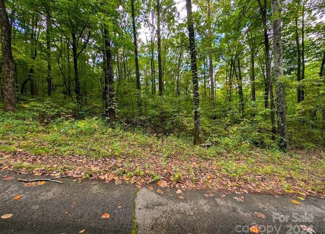 Property at TBD Horse Cove Rd, Canton, NC 28716