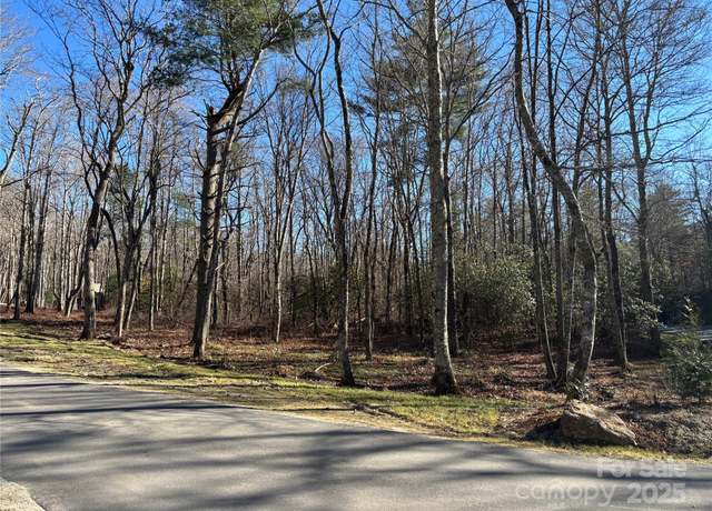 Property at Lot W25 Tioga Trl, Glenville, NC 28736