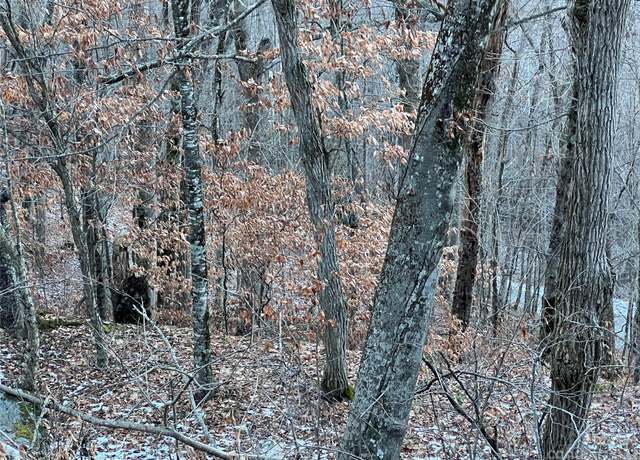 Property at 000 Weaver Ln #182, Mars Hill, NC 28754