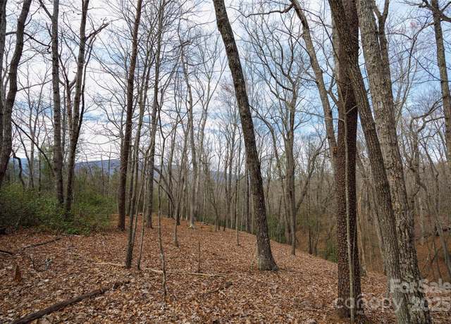 Property at 0 Lytle Mountain Rd, Old Fort, NC 28762