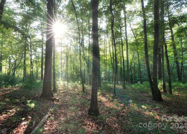 Property at 15 Mirehouse Run #135, Asheville, NC 28803