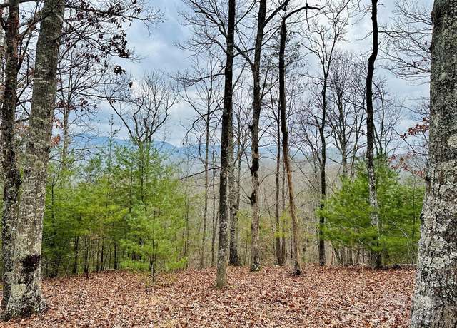 Property at 275 Raccoon Run #24, Marshall, NC 28753