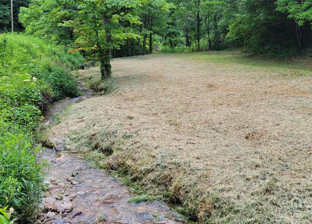 Property at TBD Roaring Fork Rd, Mars Hill, NC 28754