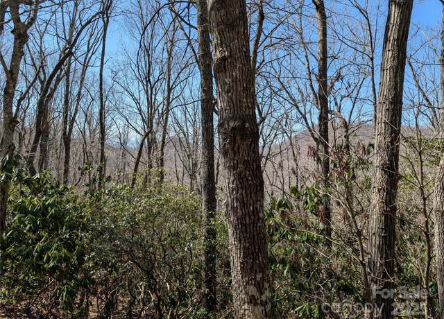 Property at Lots 1 & 2 Summer Haven Rd, Swannanoa, NC 28778