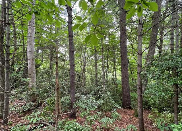 Property at # 33 Woodglen Ct, Flat Rock, NC 28731