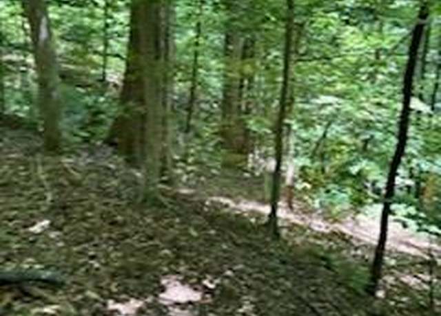 Property at 0 Cherokee Cir Lot 11, Tryon, NC 28782