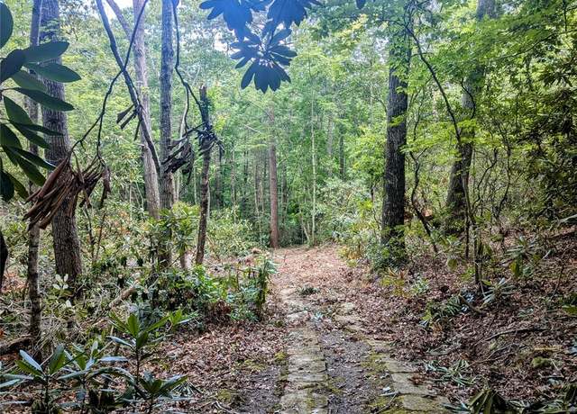 Property at 99999 Richard Ln, Black Mountain, NC 28711