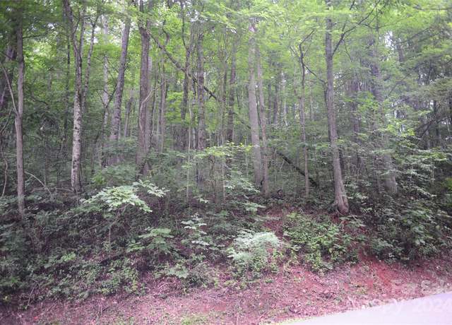 Property at 132 Ironwood Ln Unit C17/C18, Black Mountain, NC 28711