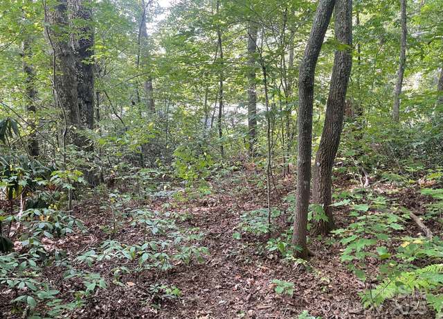 Property at TBD Rattlesnake Mountain Rd, Black Mountain, NC 28711