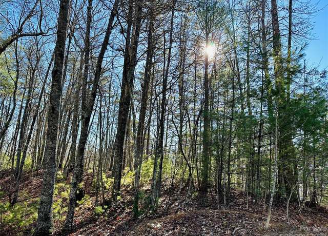 Property at 71 Turkey Trot Trl #16, Marshall, NC 28753