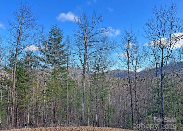 Property at 400 Pine Cone Trl #20, Marshall, NC 28753