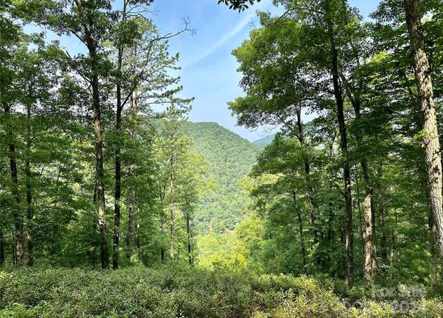 Property at 151 Wild Turkey Loop #29, Marshall, NC 28753