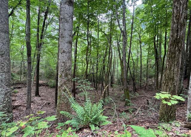 Property at 0 Quail Ridge Rd #216, Lake Lure, NC 28746