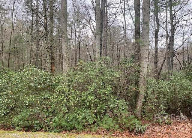 Property at TBD Salola Ln Unit U04-L033, Brevard, NC 28712