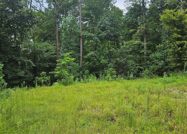 Property at 161 Starling Rd, Lake Lure, NC 28746