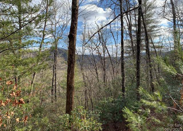 Property at 91 Laurel Thicket Ln, Brevard, NC 28712