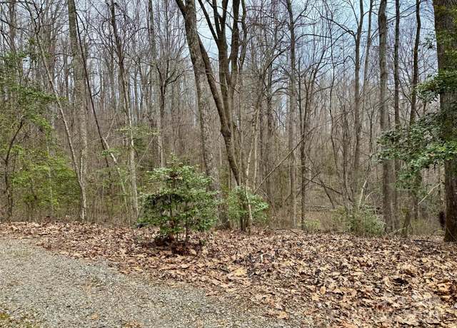 Property at 000 Orchard Mountain Rd, Saluda, NC 28773