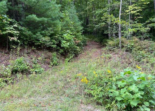 Property at 106 Green Hollow Ln, Brevard, NC 28712