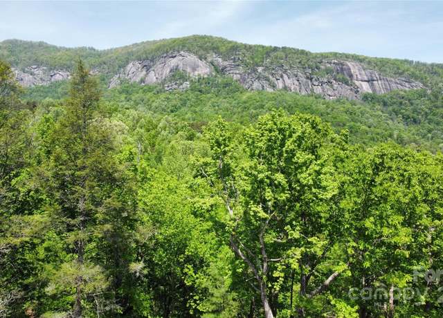 Property at 0 Mintwood Ct #12, Lake Lure, NC 28746