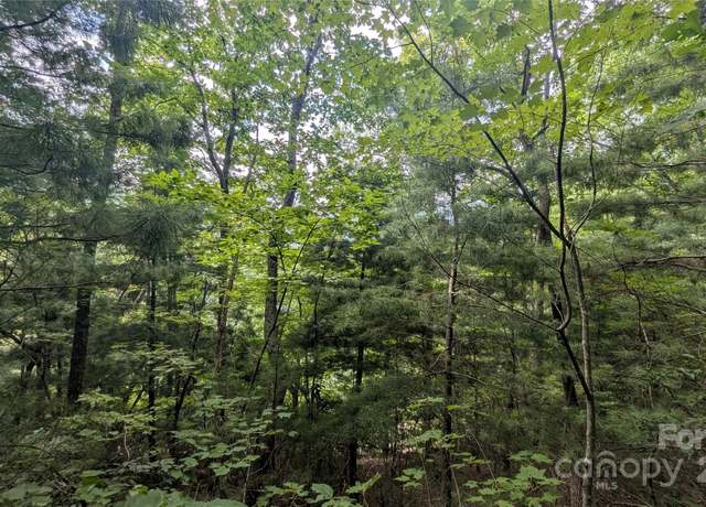 Property at 00 Pinewood Dr, Waynesville, NC 28786
