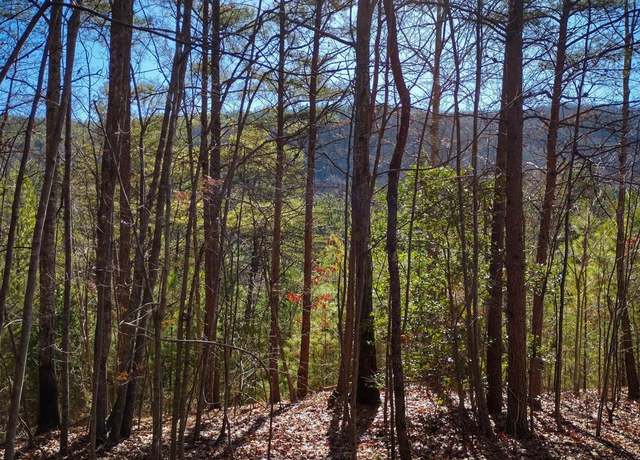 Property at TBD Pine Needle Ln, Nebo, NC 28761
