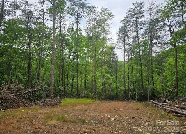 Property at 325 Mcginnis Rd, Old Fort, NC 28762