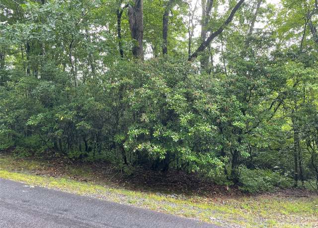 Property at TBD Tellico Trl Unit 116/01, Brevard, NC 28712