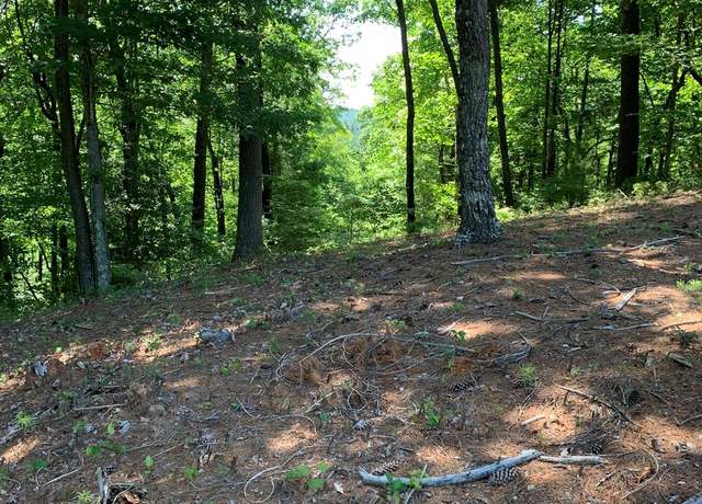 Property at LOT 201 Meadow Crossing Ln, Mcgrady, NC 28649