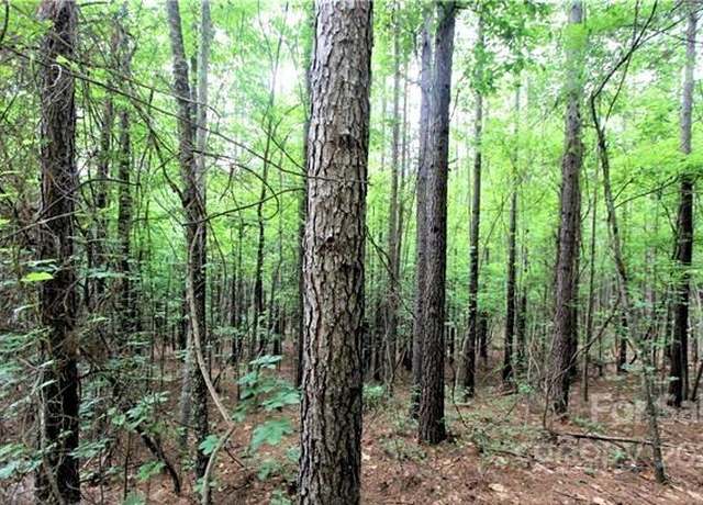 Property at 8 Chasewood Dr, Rutherfordton, NC 28139