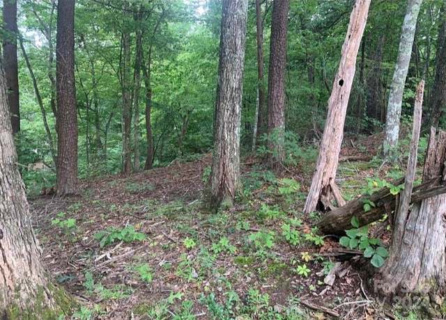 Property at 0 Bee Tree Pointe #25, Lake Lure, NC 28746