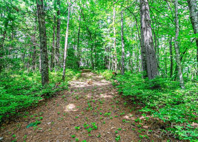 Property at TBD Big Branch Rd, Brevard, NC 28712