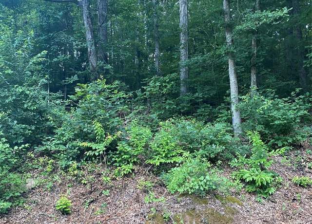 Property at Lot 132 Rocky Acres Rd #132, Hickory, NC 28601