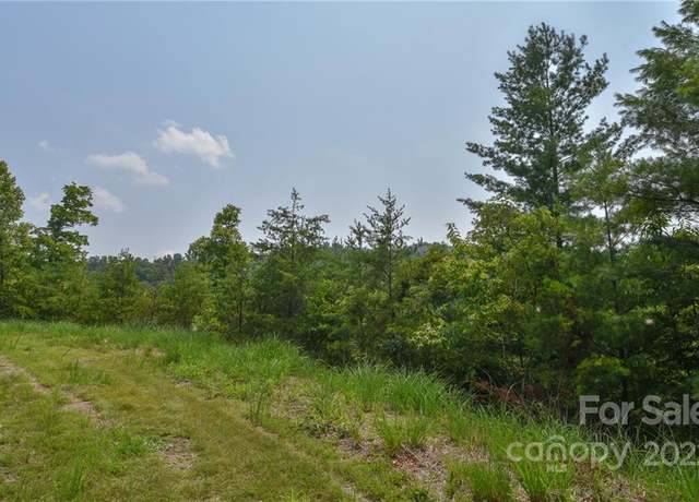 Property at Lot 11 The Vines Blvd Lot 11, Marshall, NC 28753