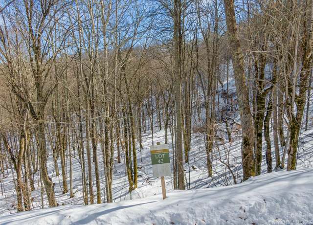 Property at Lot 42 Black Bear Run, Mars Hill, NC 28754