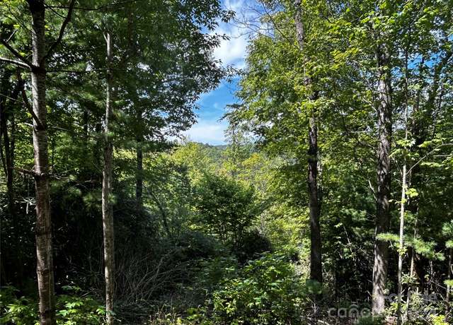 Property at TBD Doe Branch Rd, Marshall, NC 28753