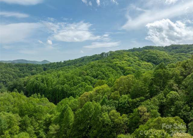 Property at 890 Panther Branch Rd, Hot Springs, NC 28743