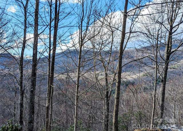 Property at 0 Dodgen Ridge Rd, Tuckasegee, NC 28783