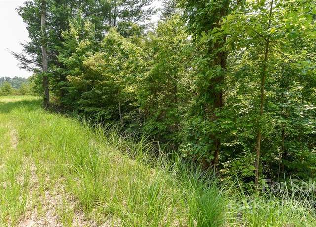 Property at Lot 12 The Vines Blvd Lot 12, Marshall, NC 28753