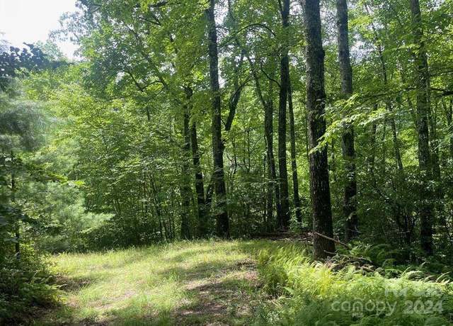 Property at Lot 114 Pickens Hwy, Rosman, NC 28772