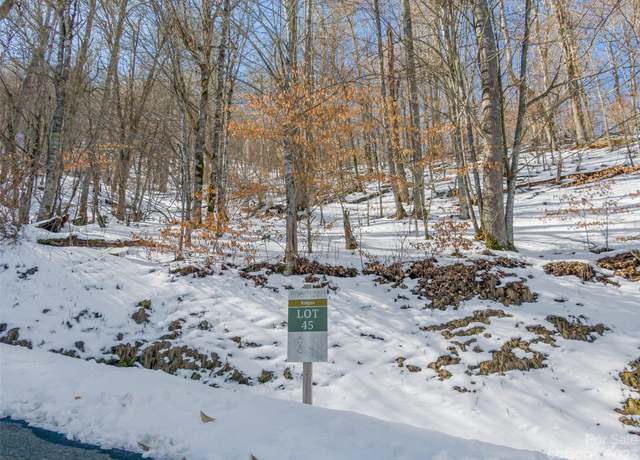 Property at Lot 45 Black Bear Run, Mars Hill, NC 28754