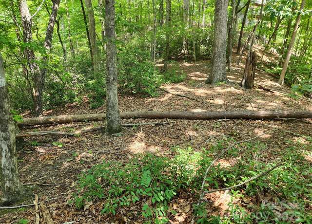 Property at Lot 124, 125, & 101 Banjo Ct, Lake Lure, NC 28746