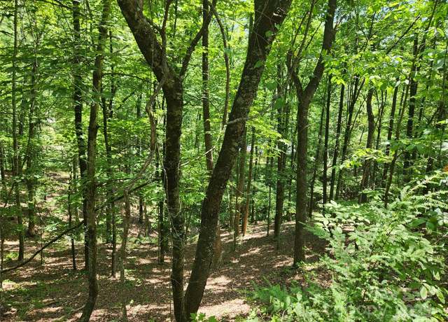 Property at Lot 81, 82, & 88 Walnut Ln, Lake Lure, NC 28746