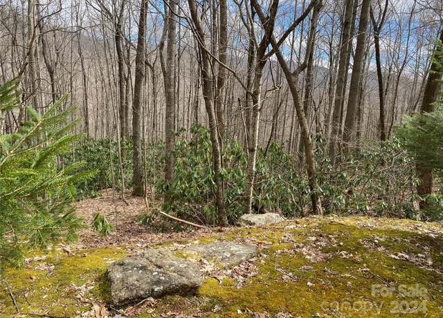 Property at 29 Wood Haven Ln #209, Black Mountain, NC 28711