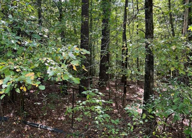 Property at TBD Sanctuary Ln, Lilesville, NC 28091